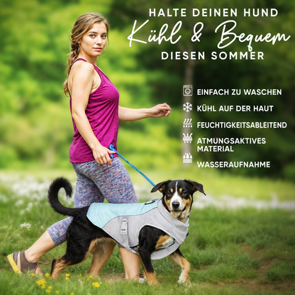 CoolVest - Sorge dafür, dass dein Hund an heißen Tagen nicht überhitzt