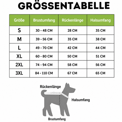 CoolVest - Sorge dafür, dass dein Hund an heißen Tagen nicht überhitzt