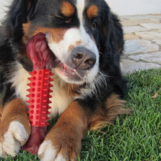 ChewForce Kauknochen Hund — für kräftige Kauer
