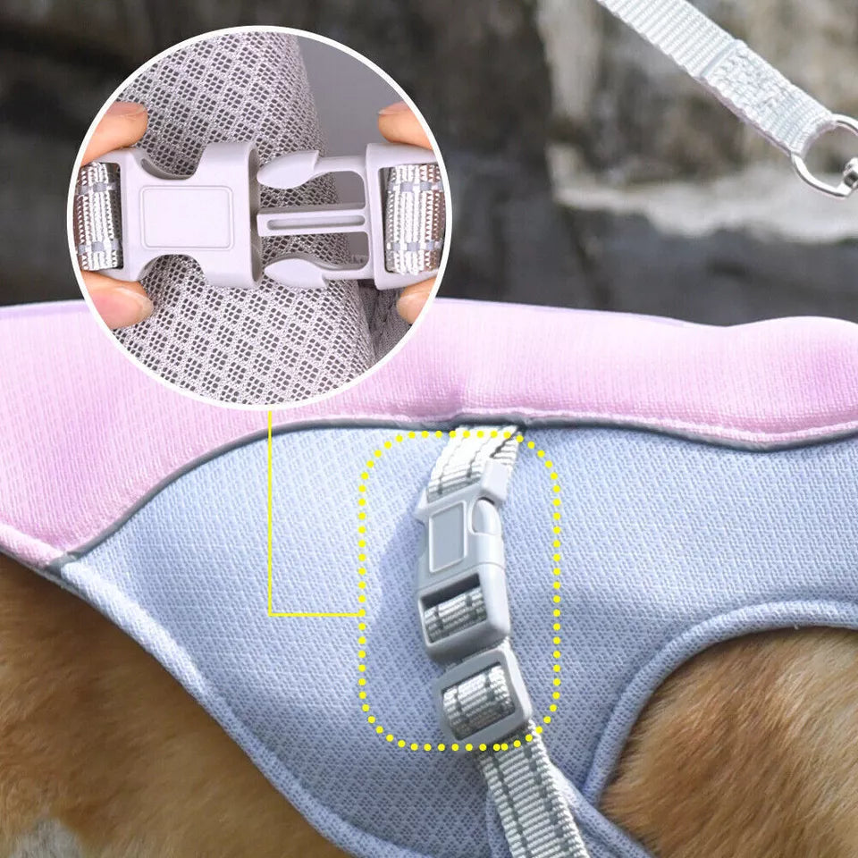 CoolVest - Sorge dafür, dass dein Hund an heißen Tagen nicht überhitzt
